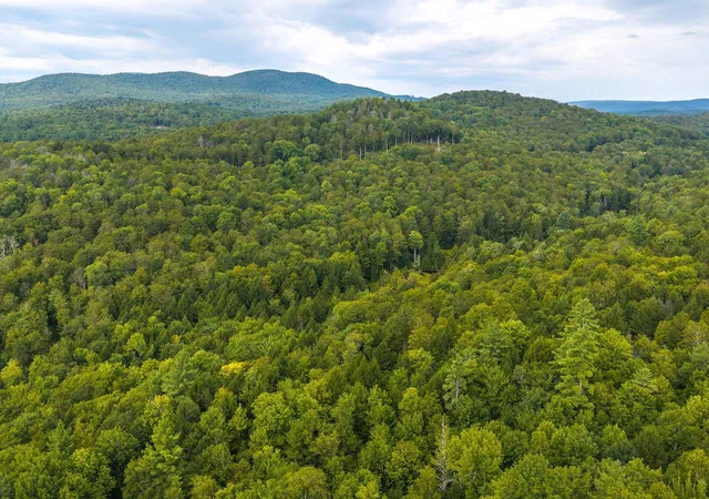 Photo 2 of Land for sale at 00 Pratt Brg Rd, Jamaica, VT 05143 | MLS# 5107954 | Listing updated on 2026-09-11