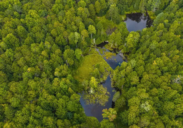 Photo 4 of Land for sale at 00 Pratt Brg Rd, Jamaica, VT 05143 | MLS# 5107954 | Listing updated on 2026-09-11