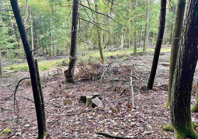 Photo 4 of Land for sale at 0 Marlboro Rd, Brattleboro, VT 05301 | MLS# 5107996 | Listing updated on 2026-09-03