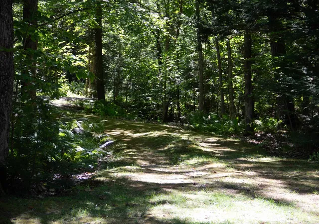 Photo 4 of Sale Pending at 81 Buzzell Cvs Rd, Moultonborough, NH 03254 | MLS# 5108000 | Listing updated on 2026-09-12