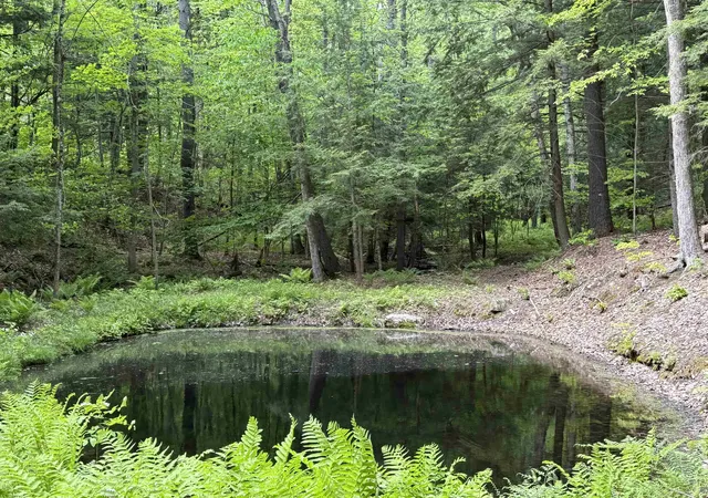 Photo 4 of Single family home for sale at 301 Neal Rd, White River Junction, VT 05001 | MLS# 5108008 | Listing updated on 2026-09-08