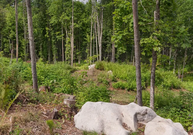 Photo 1 of Land for sale at 249 Weber Brk Ln, Craftsbury, VT 05826 | MLS# 5108058 | Listing updated on 2026-09-03