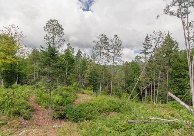 Photo 2 of Land for sale at 249 Weber Brk Ln, Craftsbury, VT 05826 | MLS# 5108058 | Listing updated on 2026-09-03