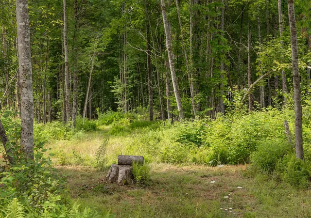 Photo 3 of Land for sale at 249 Weber Brk Ln, Craftsbury, VT 05826 | MLS# 5108058 | Listing updated on 2026-09-03