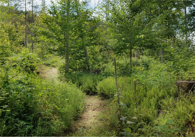 Photo 4 of Land for sale at 249 Weber Brk Ln, Craftsbury, VT 05826 | MLS# 5108058 | Listing updated on 2026-09-03