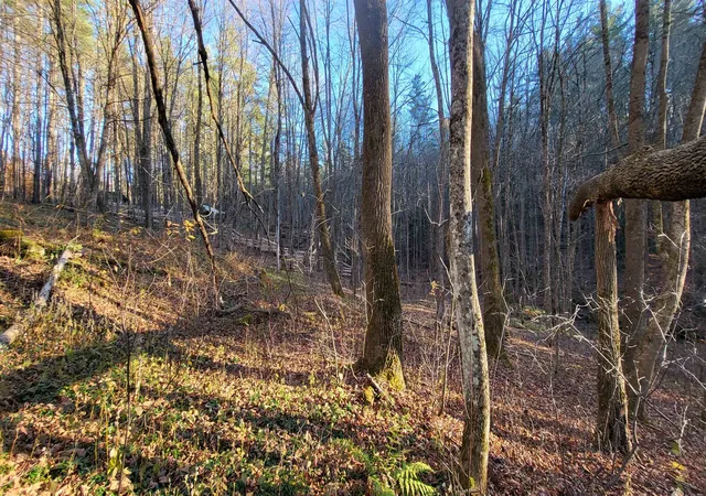 Photo 3 of Single family home for sale at 535 Collar Hl Rd, Worcester, VT 05682 | MLS# 5108137 | Listing updated on 2026-09-10