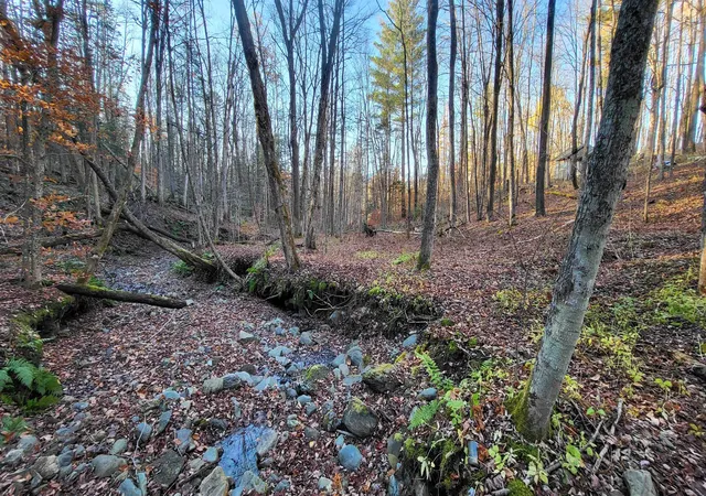 Photo 4 of Single family home for sale at 535 Collar Hl Rd, Worcester, VT 05682 | MLS# 5108137 | Listing updated on 2026-09-10