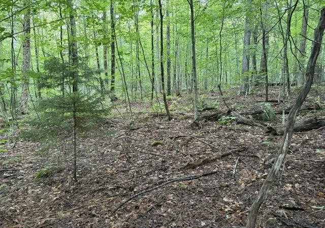 Photo 1 of Land for sale at 0 Under The Mountain Rd, South Londonderry, VT 05155 | MLS# 5108201 | Listing updated on 2026-09-05