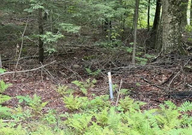 Photo 2 of Land for sale at 0 Under The Mountain Rd, South Londonderry, VT 05155 | MLS# 5108201 | Listing updated on 2026-09-05