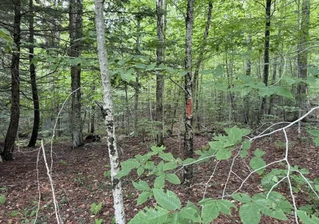 Photo 3 of Land for sale at 0 Under The Mountain Rd, South Londonderry, VT 05155 | MLS# 5108201 | Listing updated on 2026-09-05