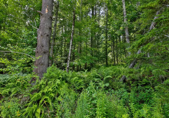 Photo 4 of Land for sale at 100 Hawk Trl, Pittsfield, VT 05762 | MLS# 5108212 | Listing updated on 2026-09-04