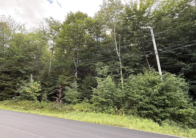 Photo 3 of Land for sale at 45 Buckboard Dr, West Dover, VT 05356 | MLS# 5108221 | Listing updated on 2026-09-05