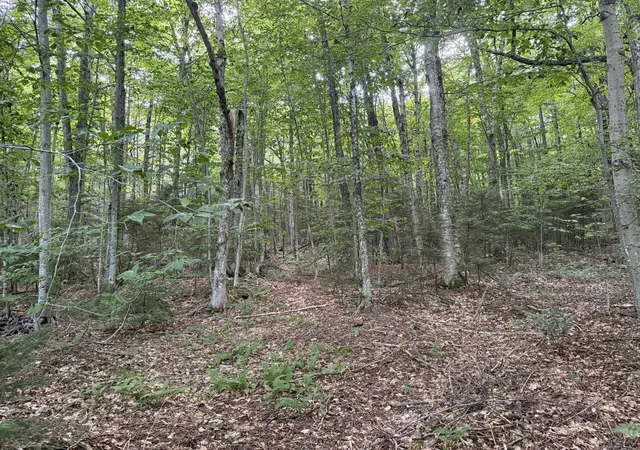 Photo 3 of Land for sale at 45 Buckboard Dr, West Dover, VT 05356 | MLS# 5108221 | Listing updated on 2026-09-05