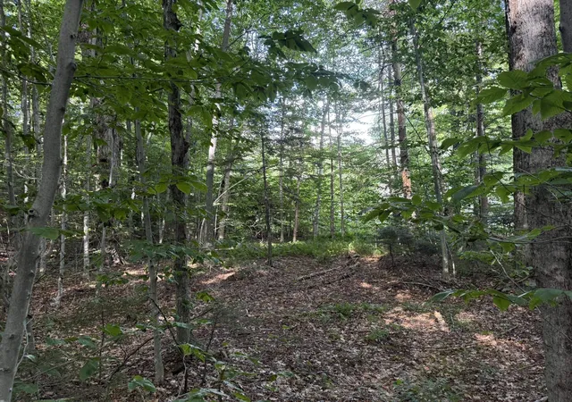 Photo 4 of Land for sale at 45 Buckboard Dr, West Dover, VT 05356 | MLS# 5108221 | Listing updated on 2026-09-05