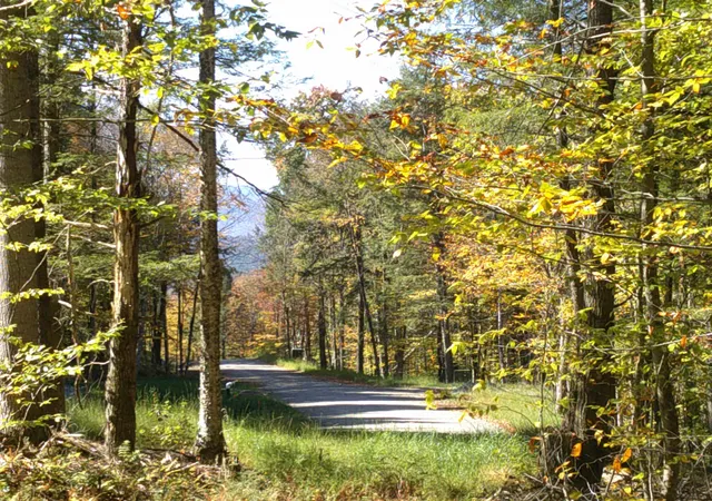 Photo 4 of Land for sale at 0 Dogwood Springs Rd, Stowe, VT 05672 | MLS# 5108242 | Listing updated on 2026-09-04
