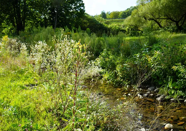 Photo 2 of Single family home for sale at 1268 County Rd, Windsor, VT 05089 | MLS# 5108310 | Listing updated on 2026-09-14