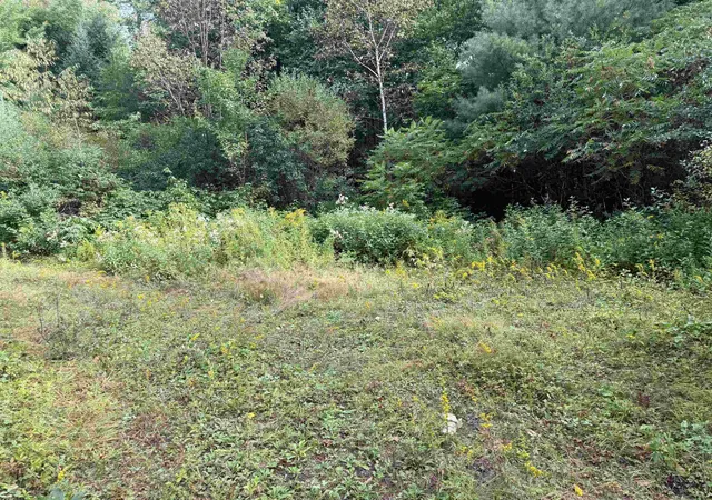 Photo 3 of Land for sale at 0 North Rd, Guildhall, VT 05905 | MLS# 5108411 | Listing updated on 2026-09-07