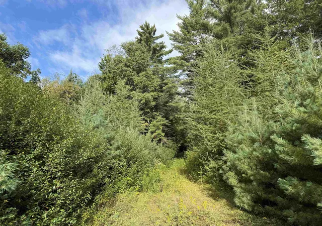 Photo 3 of Land for sale at 0 North Rd, Guildhall, VT 05905 | MLS# 5108411 | Listing updated on 2026-09-07