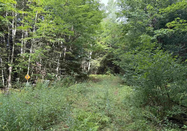 Photo 4 of Land for sale at 0 North Rd, Guildhall, VT 05905 | MLS# 5108411 | Listing updated on 2026-09-07
