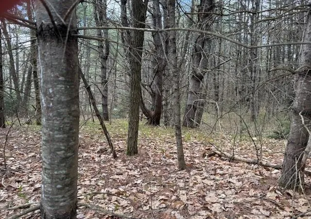 Photo 2 of Land for sale at 000 Nh Rte 175 Rd, Holderness, NH 03245 | MLS# 5108418 | Listing updated on 2026-09-18