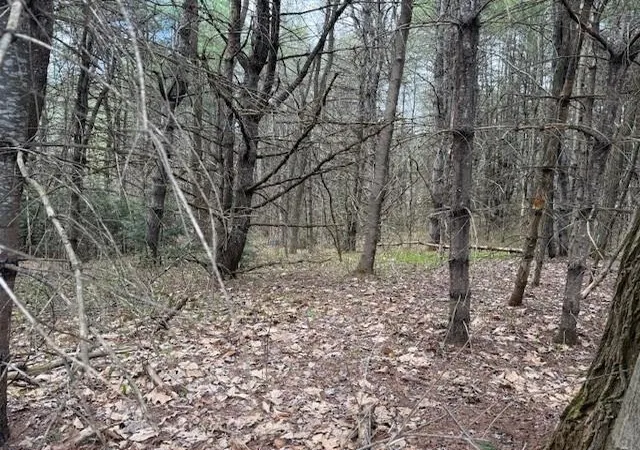 Photo 3 of Land for sale at 000 Nh Rte 175 Rd, Holderness, NH 03245 | MLS# 5108418 | Listing updated on 2026-09-18