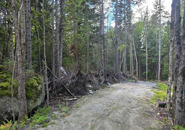 Photo 1 of Land for sale at M10 L41 Taylor Cir, Washington, NH 03280 | MLS# 5108471 | Listing updated on 2026-09-08
