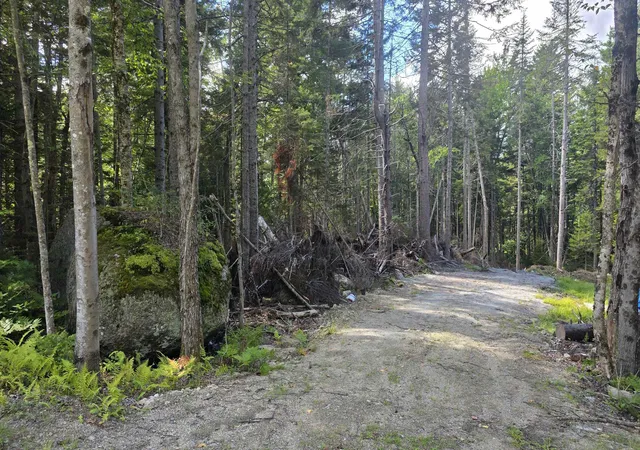Photo 2 of Land for sale at M10 L41 Taylor Cir, Washington, NH 03280 | MLS# 5108471 | Listing updated on 2026-09-08