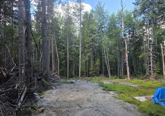 Photo 3 of Land for sale at M10 L41 Taylor Cir, Washington, NH 03280 | MLS# 5108471 | Listing updated on 2026-09-08