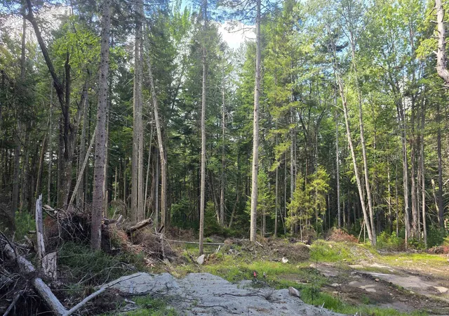 Photo 3 of Land for sale at M10 L41 Taylor Cir, Washington, NH 03280 | MLS# 5108471 | Listing updated on 2026-09-08