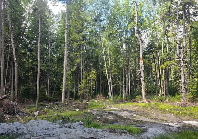 Photo 4 of Land for sale at M10 L41 Taylor Cir, Washington, NH 03280 | MLS# 5108471 | Listing updated on 2026-09-08