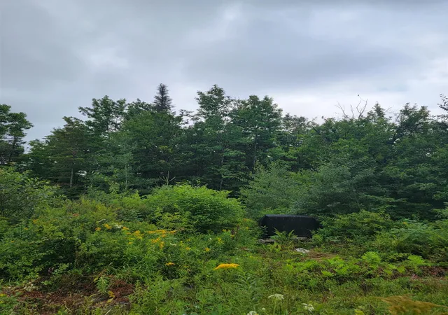 Photo 1 of Single family home for sale at 1530 Somerset Rd, West Dover, VT 05356 | MLS# 5108493 | Listing updated on 2026-09-06