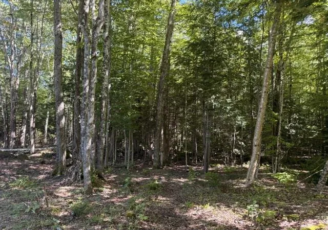 Photo 1 of Land for sale at Lot 5 Partridge Rd, Jackson, NH 03846 | MLS# 5108501 | Listing updated on 2026-09-08