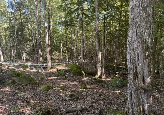 Photo 3 of Land for sale at Lot 5 Partridge Rd, Jackson, NH 03846 | MLS# 5108501 | Listing updated on 2026-09-08