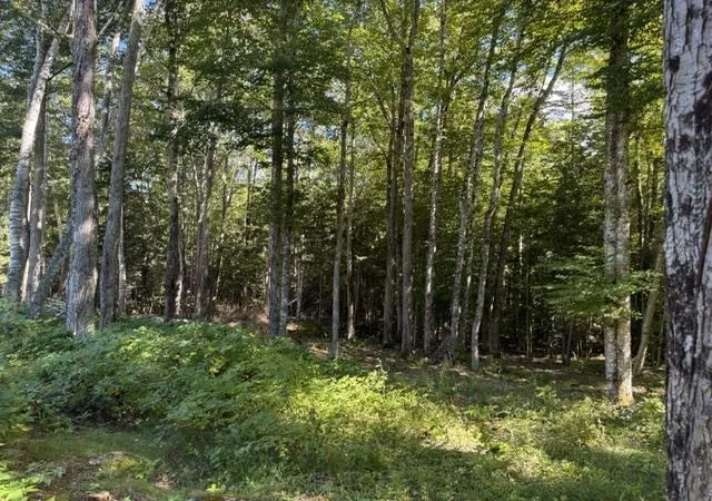 Photo 4 of Land for sale at Lot 5 Partridge Rd, Jackson, NH 03846 | MLS# 5108501 | Listing updated on 2026-09-08