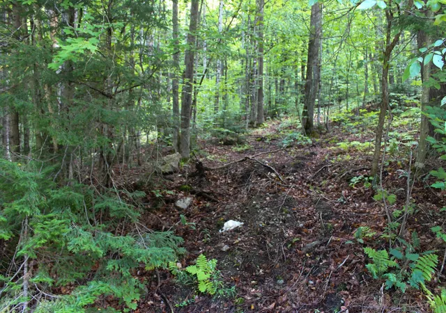 Photo 1 of Land for sale at 0 Hillcrest Dr, Chester, VT 05143 | MLS# 5108551 | Listing updated on 2026-09-08