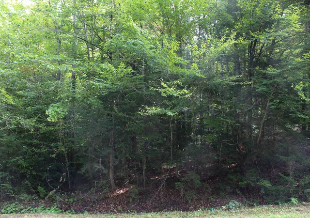 Photo 2 of Land for sale at 0 Hillcrest Dr, Chester, VT 05143 | MLS# 5108551 | Listing updated on 2026-09-08