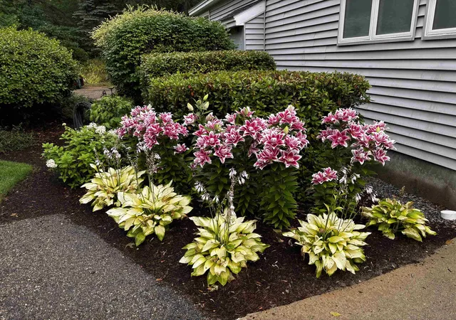 Photo 3 of Sale Pending at 43 Michawanic Rd #1C, Sanbornville, NH 03872 | MLS# 5108604 | Listing updated on 2026-09-17