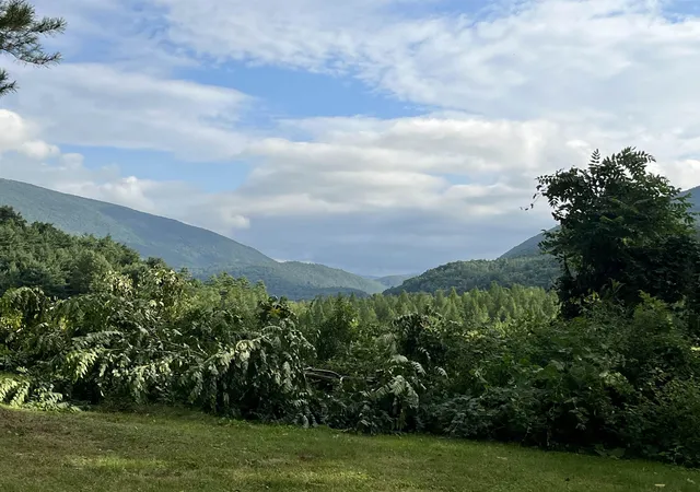 Photo 4 of Single family home for sale at 85 Depot St Ext, Danby, VT 05739 | MLS# 5108613 | Listing updated on 2026-09-08