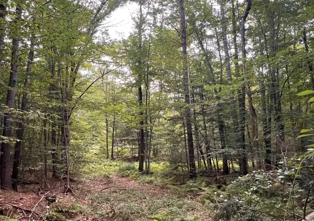 Photo 3 of Land for sale at 11c 291 2nd Nh Turnpike, Hillsborough, NH 03244 | MLS# 5108713 | Listing updated on 2026-09-17