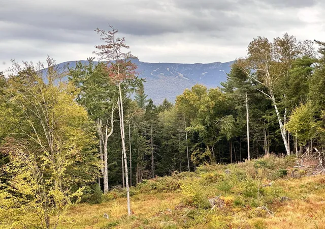 Photo 1 of Land for sale at 2364 Mountain Rd, Stowe, VT 05672 | MLS# 5108715 | Listing updated on 2026-09-08