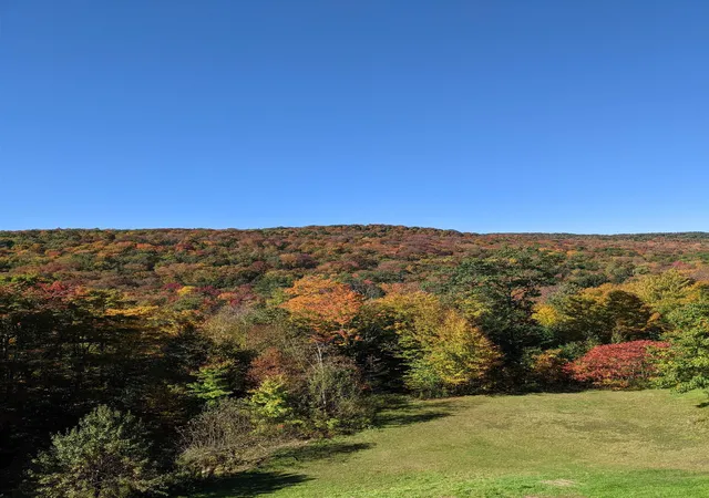 Photo 4 of Single family home for sale at 1113 Old Cheney Rd, West Townshend, VT 05359 | MLS# 5108718 | Listing updated on 2026-09-10