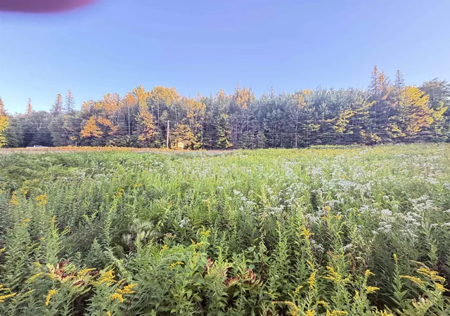Photo 3 of Land for sale at 00 Stark Hwy, Stark, NH 03582 | MLS# 5108767 | Listing updated on 2026-09-09