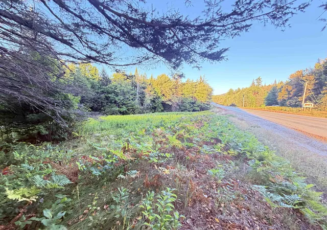 Photo 3 of Land for sale at 00 Stark Hwy, Stark, NH 03582 | MLS# 5108767 | Listing updated on 2026-09-09