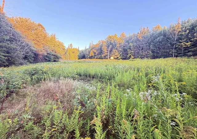 Photo 4 of Land for sale at 00 Stark Hwy, Stark, NH 03582 | MLS# 5108767 | Listing updated on 2026-09-09