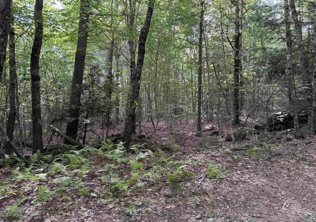 Photo 2 of Sale Pending at 0 Old Pierce Rd, Fitzwilliam, NH 03447 | MLS# 5108788 | Listing updated on 2026-09-13
