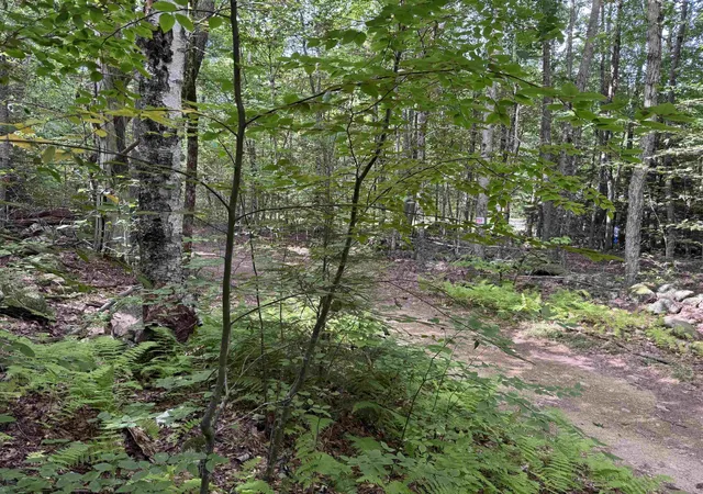Photo 4 of Sale Pending at 0 Old Pierce Rd, Fitzwilliam, NH 03447 | MLS# 5108788 | Listing updated on 2026-09-13