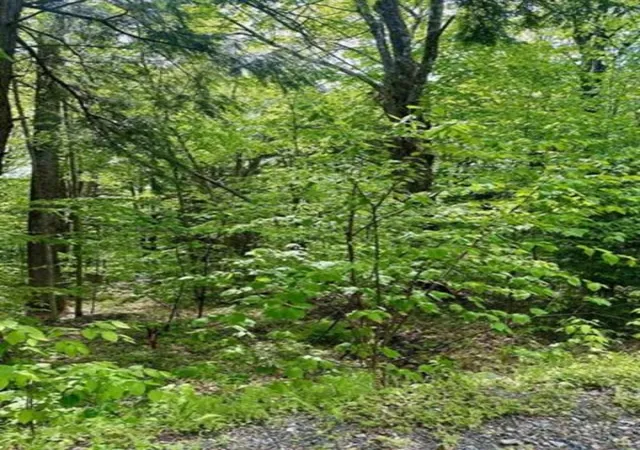 Photo 3 of Land for sale at G6 Timber Ln, Wardsboro, VT 05355 | MLS# 5108921 | Listing updated on 2026-09-12