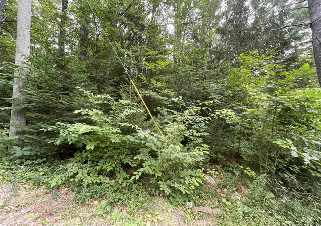Photo 1 of Land for sale at Sweeney Rd, Washington, NH 03244 | MLS# 5108935 | Listing updated on 2026-09-25
