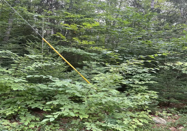 Photo 2 of Land for sale at Sweeney Rd, Washington, NH 03244 | MLS# 5108935 | Listing updated on 2026-09-25