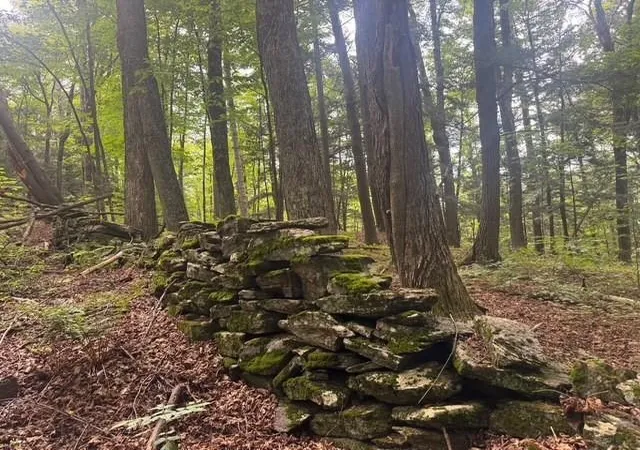 Photo 3 of Land for sale at 000 Banister Rd, West Windsor, VT 05089 | MLS# 5109217 | Listing updated on 2026-09-10